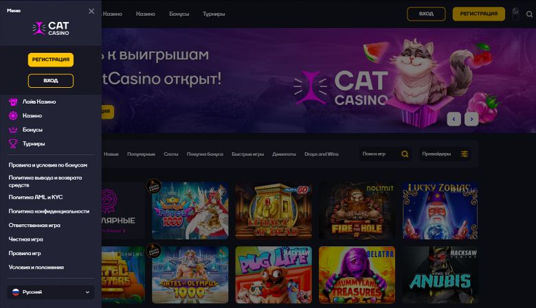Casino Cat - навигация по сайту Casino Cat - навигация по сайту